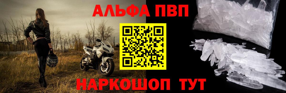 A PVP СК КРИС  Вход с VPN  APVP  Курчалой  Альфа ПВП СК КРИС 
