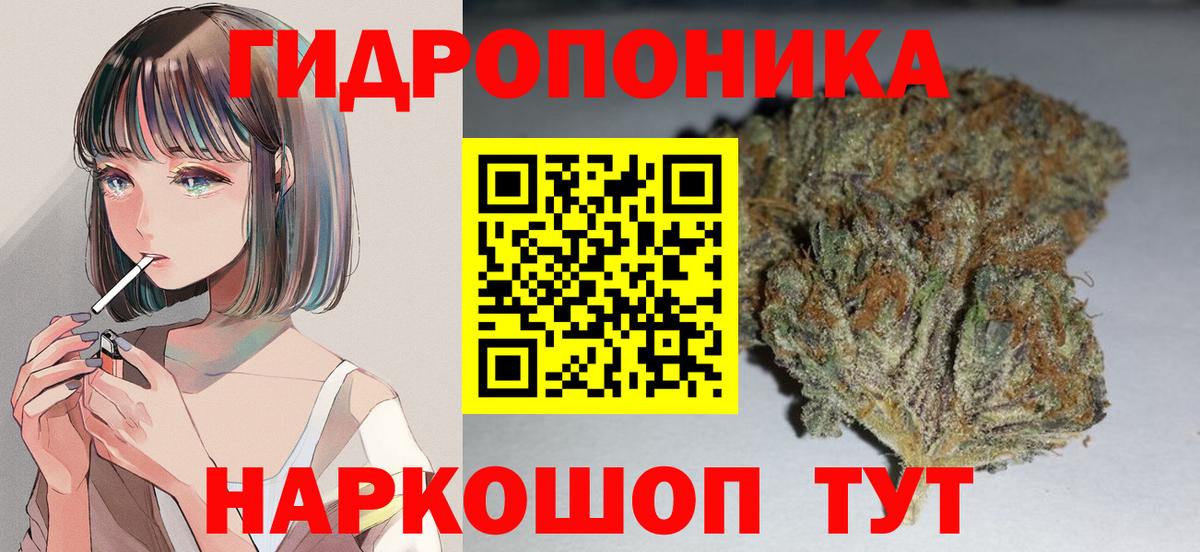 Канабис VHQ Курчалой